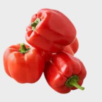 Capsicum - Red