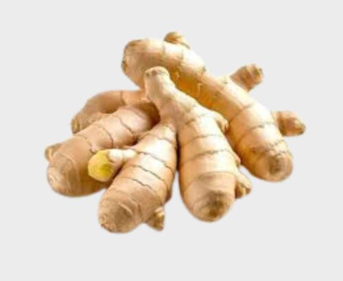 Ginger