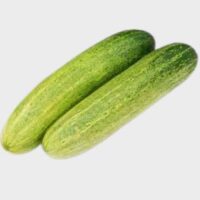 Cucumber