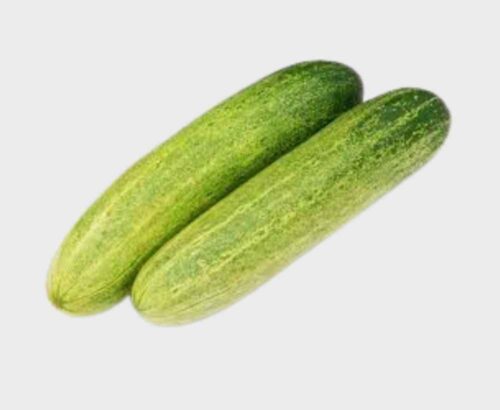 Cucumber