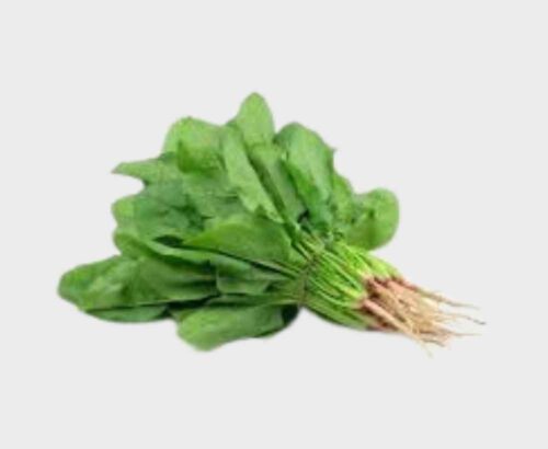 Palak