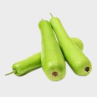 Bottle Gourd