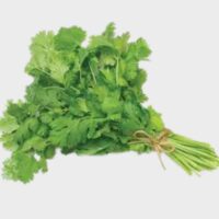 Coriander Leaves