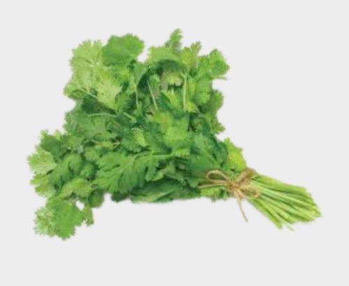Coriander Leaves