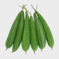 Ridge Gourd