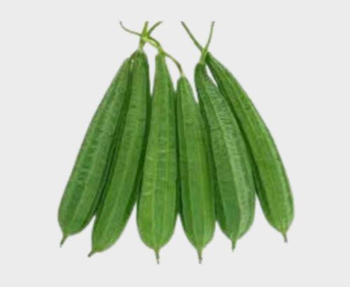 Ridge Gourd