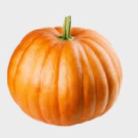 Pumpkin